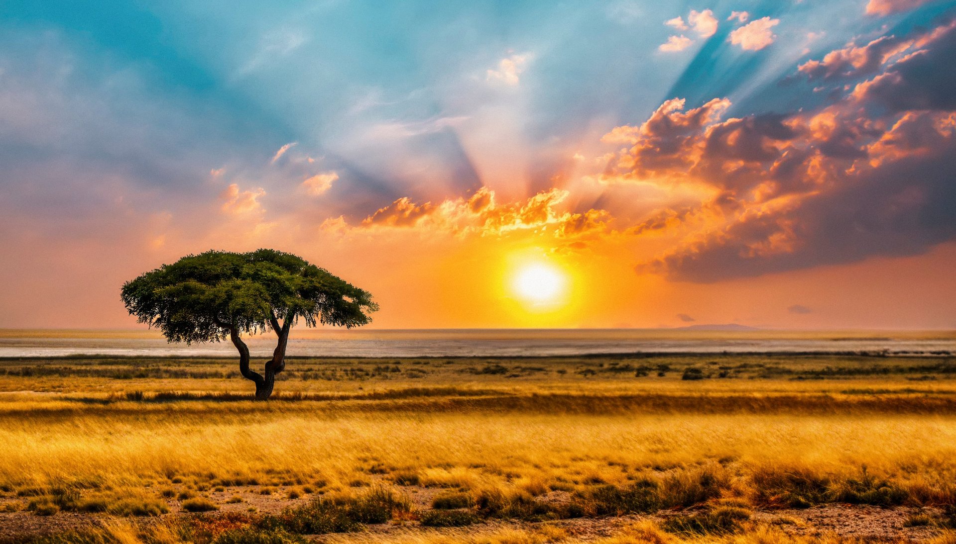 Romantic African sunset