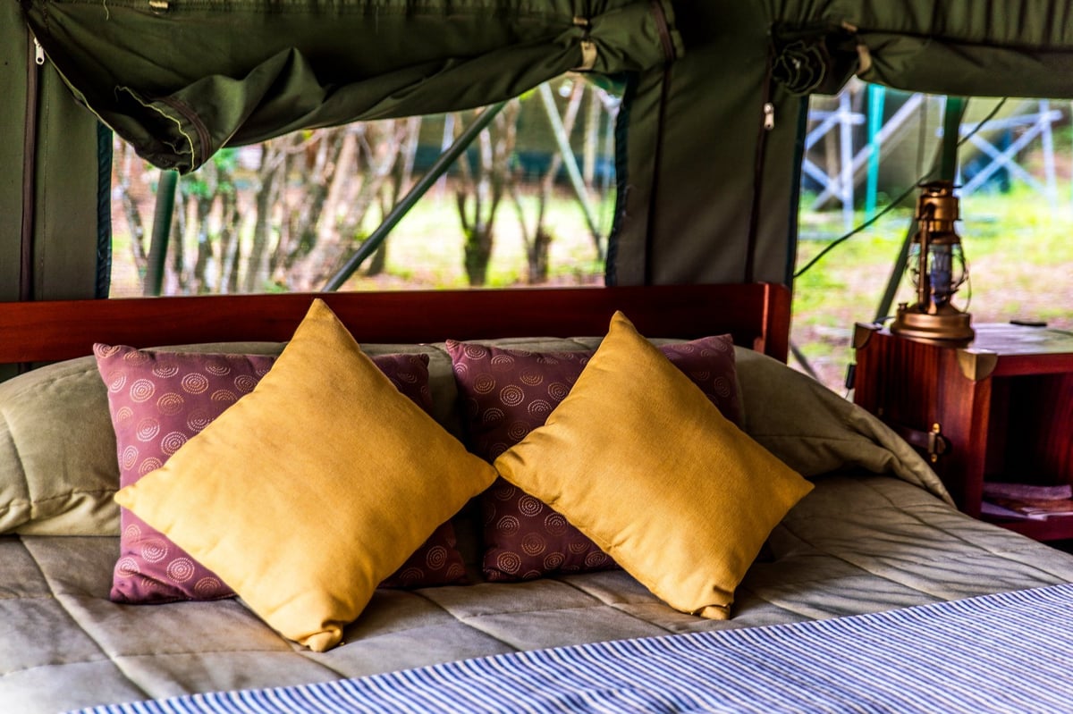 Ngoma Bush Lodge interior — warm colonial-style safari lodge in Hoedspruit near Kruger with relaxed bush atmosphere