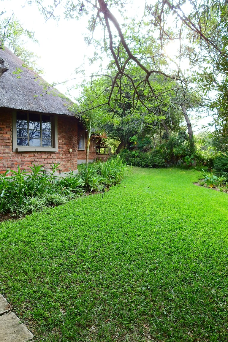 Brick cottage with thatched roof surrounded by lush green lawn and large trees overhead