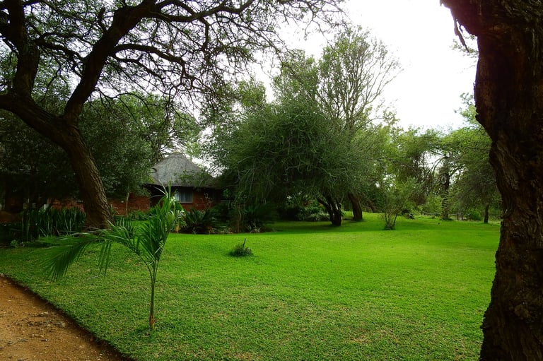 Spacious green garden with large trees, manicured lawn, and a cottage visible in the background under overcast sky
