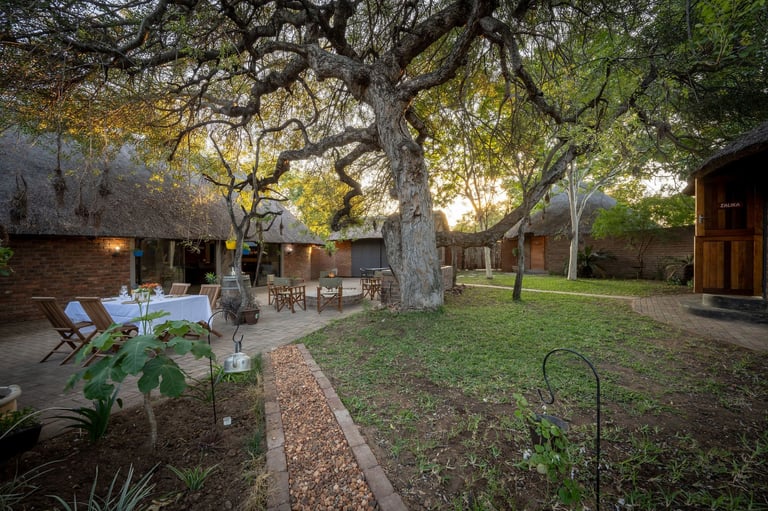 Large oak tree in rural courtyard with brick pathway, outdoor seating area, and stone buildings at dusk