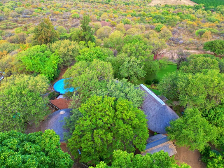 Aerial view of a meandering stream with blue water weaving through dense green woodland and trees