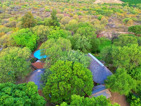 Aerial view of a meandering stream with blue water weaving through dense green woodland and trees