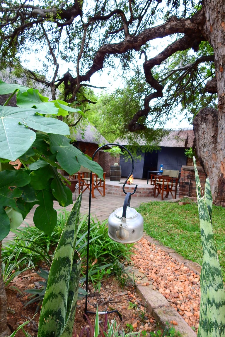 Rustic courtyard with sprawling tree branches overhead, green plants, brick pathway, wooden furniture, and industrial buildings in background
