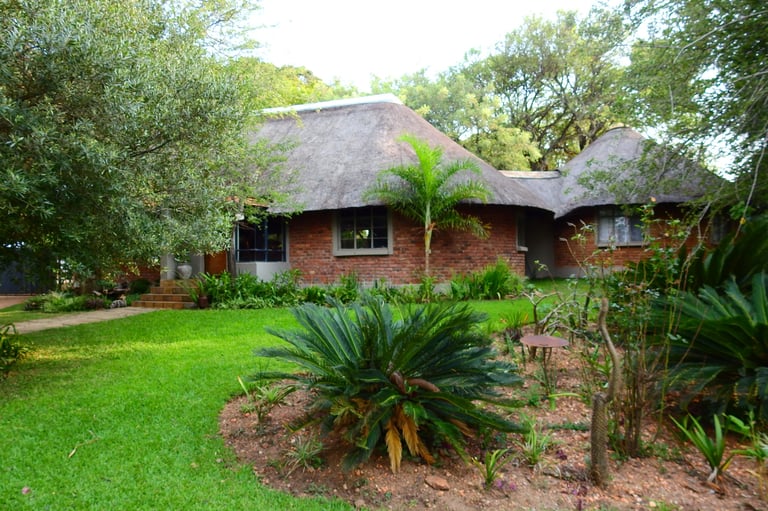 Single-story brick house with thatched roof and tropical plants in the foreground, set on a large green lawn with trees