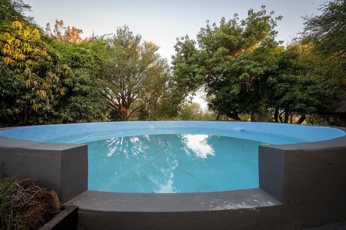 Affordable safari lodge near Kruger — plains game grazing on the private farm at Ngoma Bush Lodge in Hoedspruit