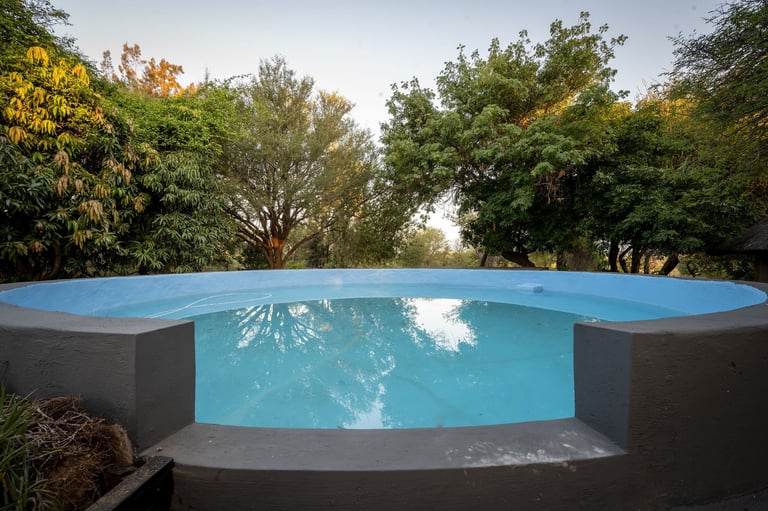 Modern curved swimming pool with turquoise water surrounded by mature trees and natural landscape