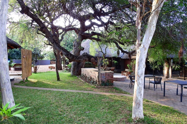 Manicured garden with large spreading tree and white-barked trees, green lawn, and outdoor seating area