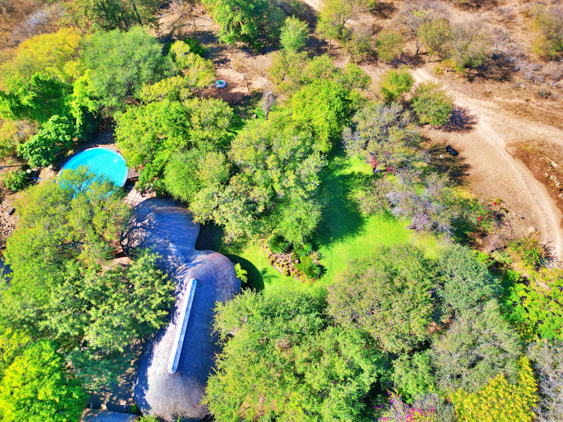 Aerial view of a winding river through lush green forest with a turquoise pool