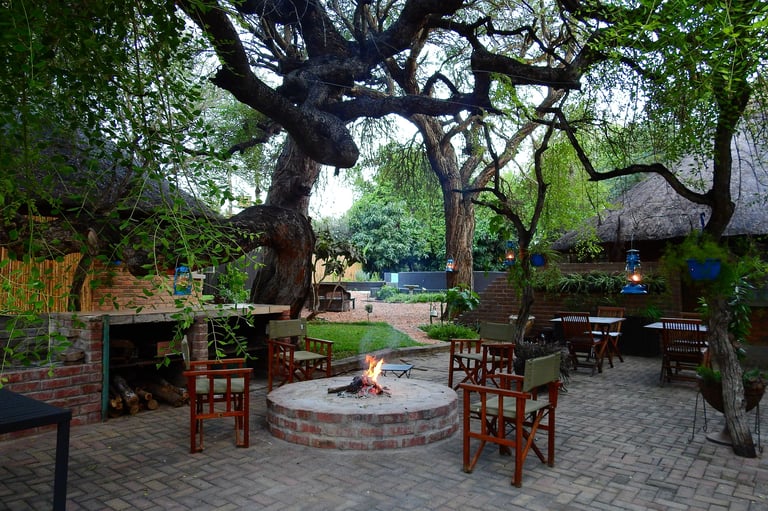 Outdoor courtyard with a central fire pit, wooden chairs, and large spreading trees providing shade
