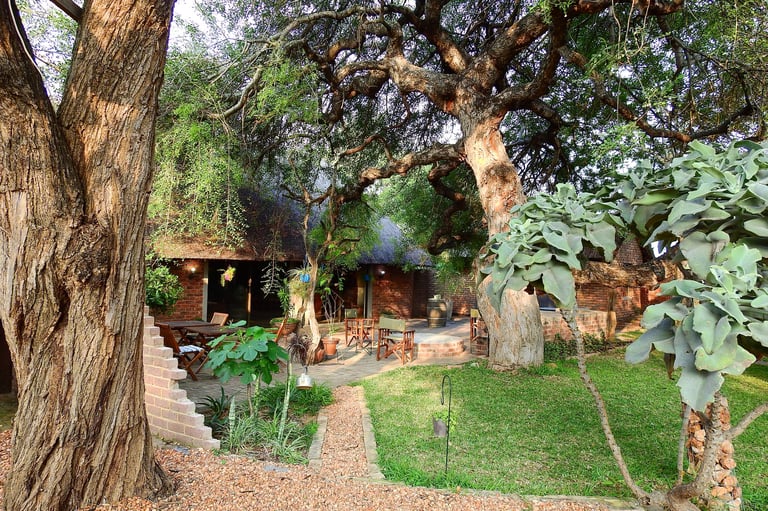 A rustic courtyard with large mature trees, lush green grass, and terracotta buildings visible in the background