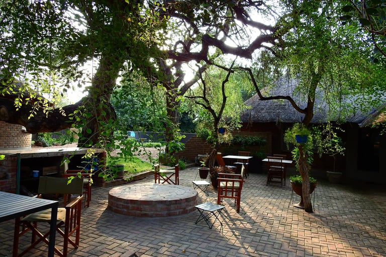 Outdoor patio courtyard with brick pavement, seating areas, and large gnarled tree branches overhead creating dappled shade