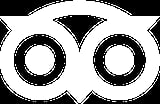 TripAdvisor logo